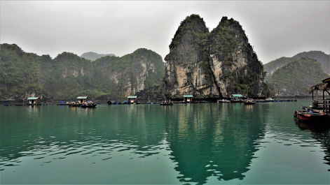 photo 1772763