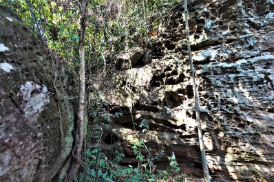 photo 1753255
