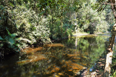 photo 1754074