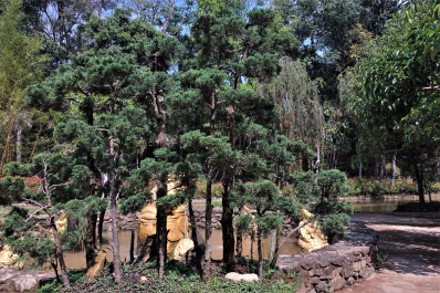 photo 1759789