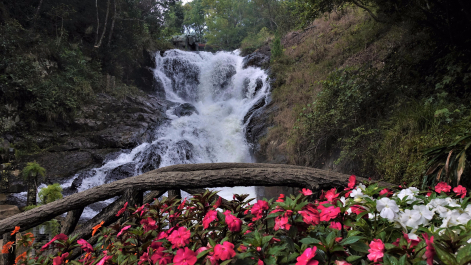 photo 1766145