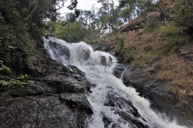 photo 1766652
