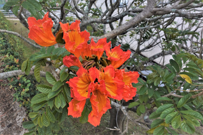 photo 1770316