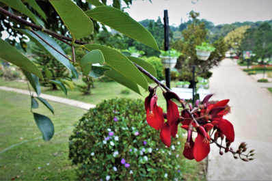 photo 1777454