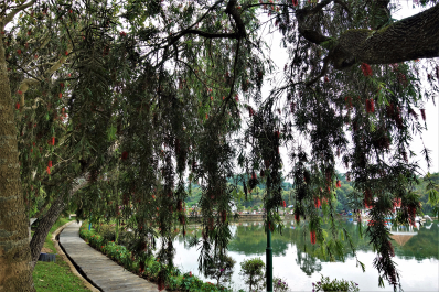 photo 1778146