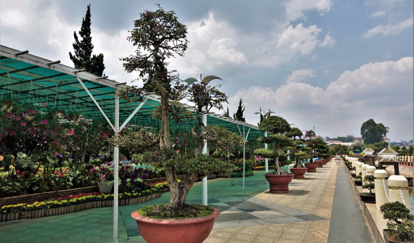 DSC05206