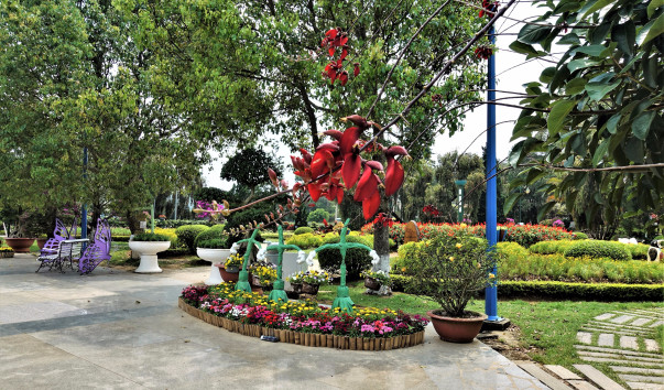 DSC05208