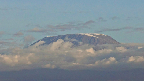 photo 1795411