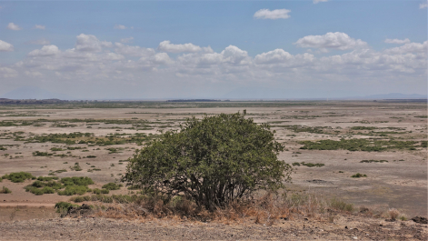 photo 1822589