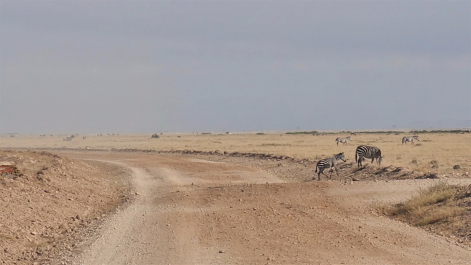 photo 1783170