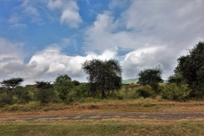 photo 1789741