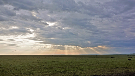 photo 1795409