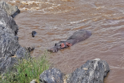 photo 1815530