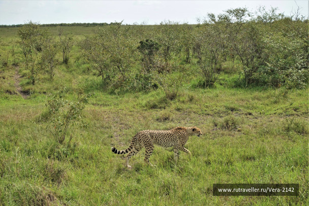 photo 1819524