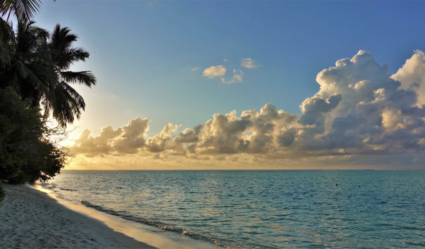 ������� (62)