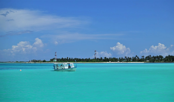 DSC08610
