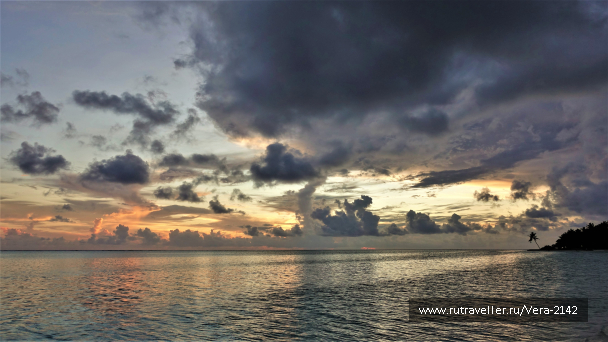 photo 1835389