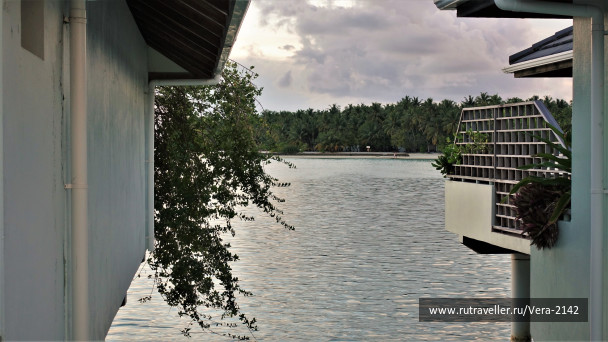 photo 1837003