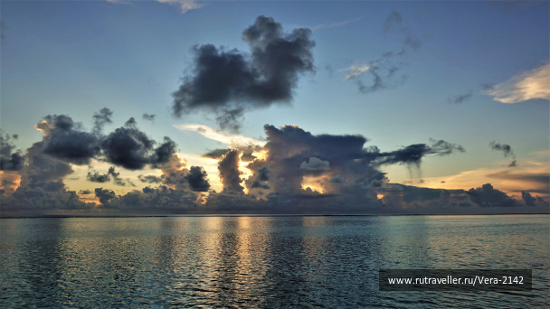photo 1837329