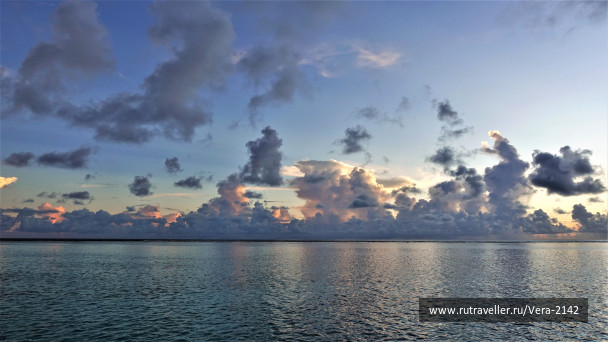 photo 1853420