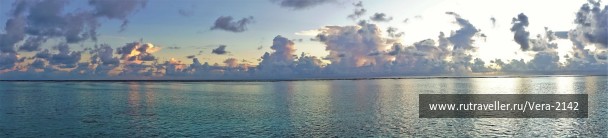 photo 1854116