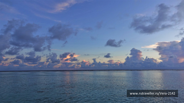 photo 1854201