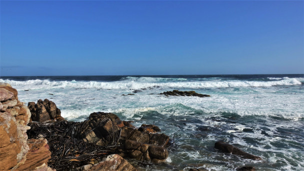 photo 1876183