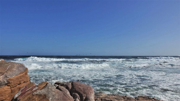 photo 1878323
