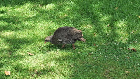 photo 1861716