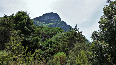 photo 1866715