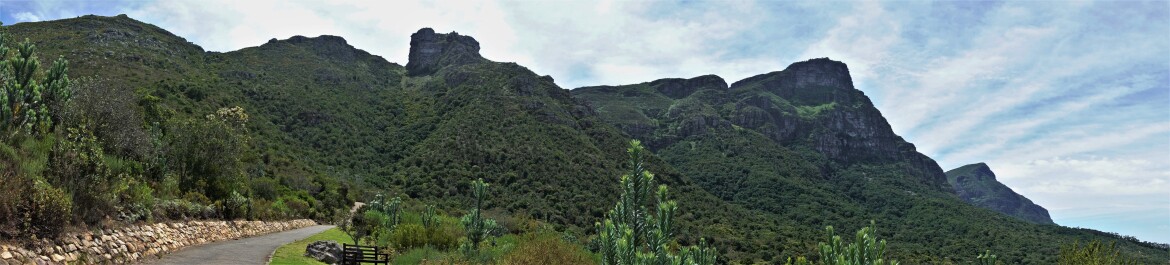 photo 1889987