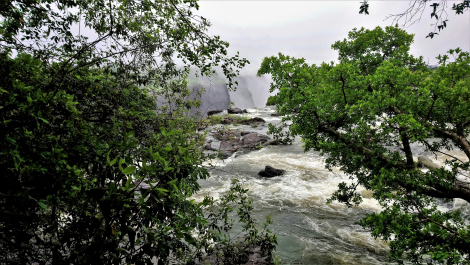 photo 1856226