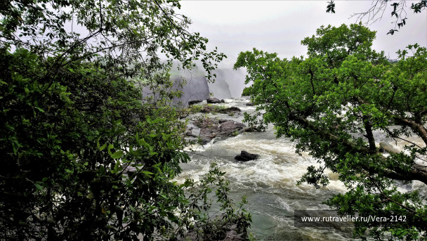 photo 1856226