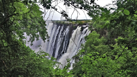 photo 1857029