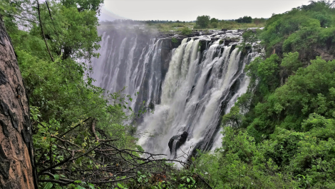 photo 1857456