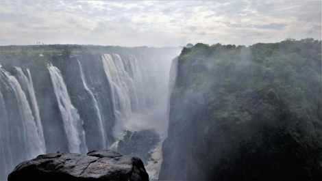 photo 1859763