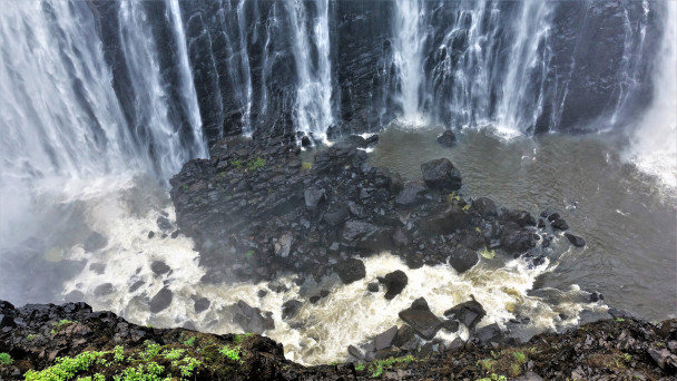 photo 1881722