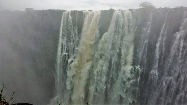 photo 1883334