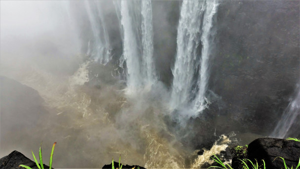 photo 1884589