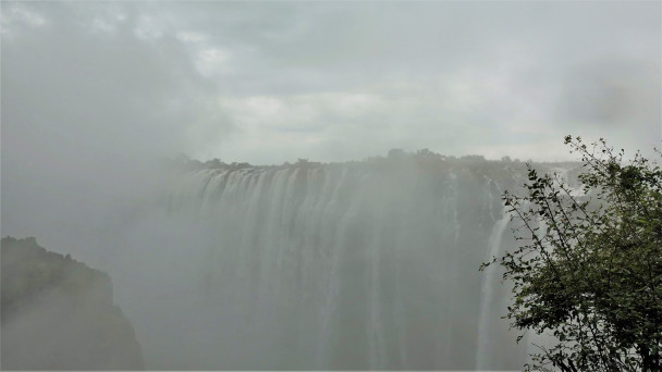 photo 1885426