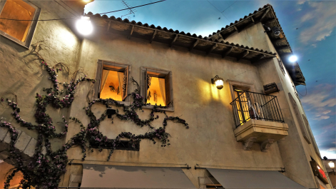 photo 1863717