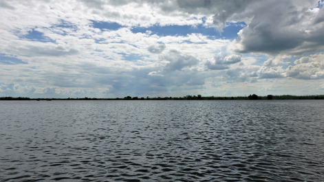 photo 1852768