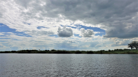 photo 1853421