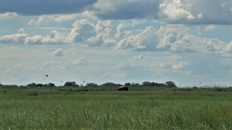 photo 1854202