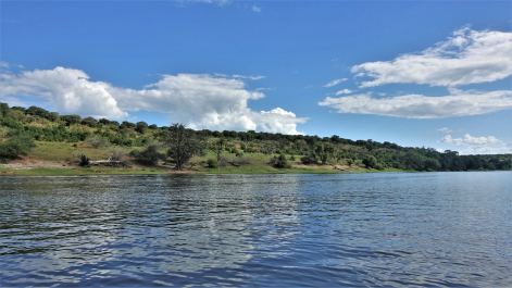 photo 1855515