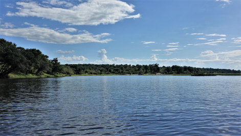 photo 1855654