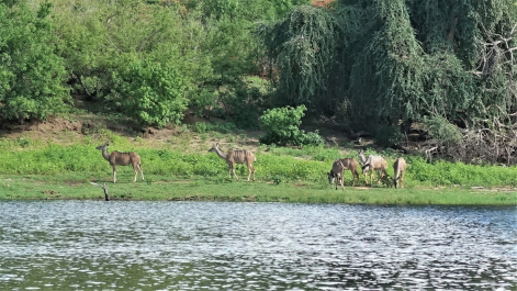 photo 1856220