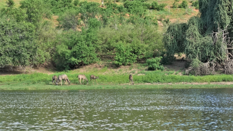 photo 1856359