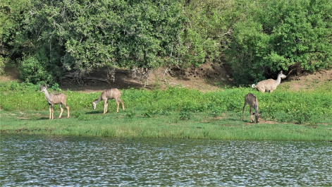 photo 1858299
