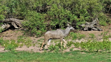 photo 1858456